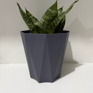 ECOROOT SNAKE PLANT THE DIAMOND